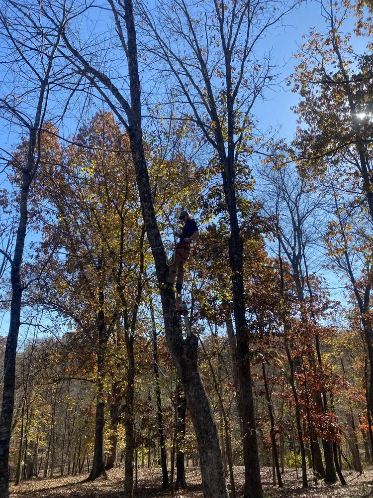 Trusted lawn care service experts serving Front Royal, VA - Mnt View Services