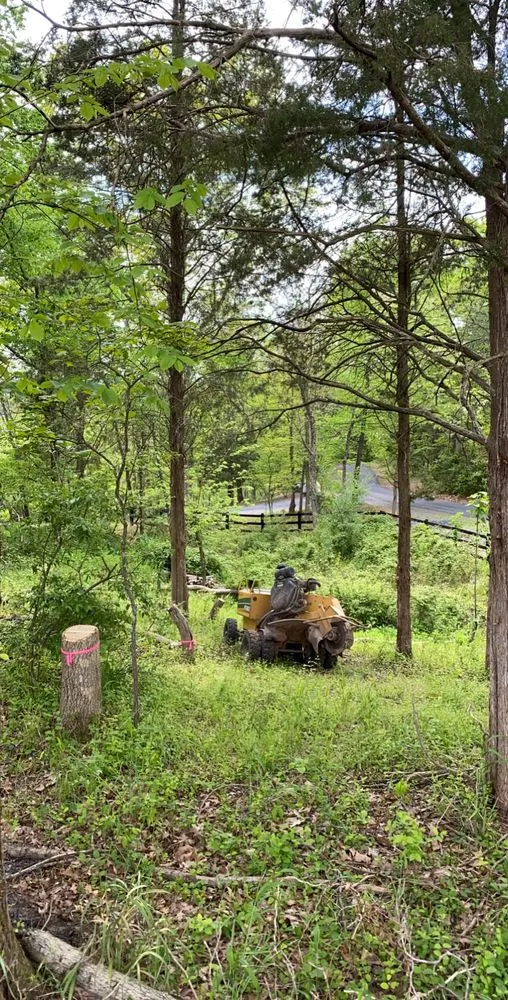 Custom outdoor landscaping in Front Royal, VA - Mnt View Services