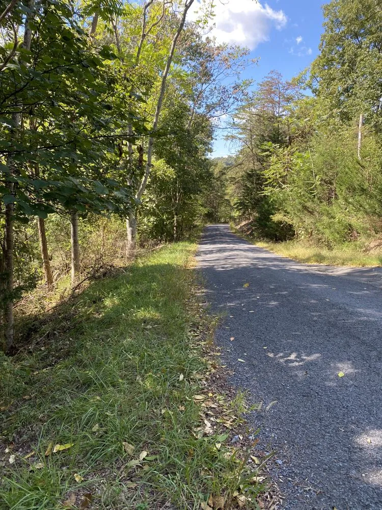 Trusted residential landscaping experts serving Front Royal, VA - Mnt View Services