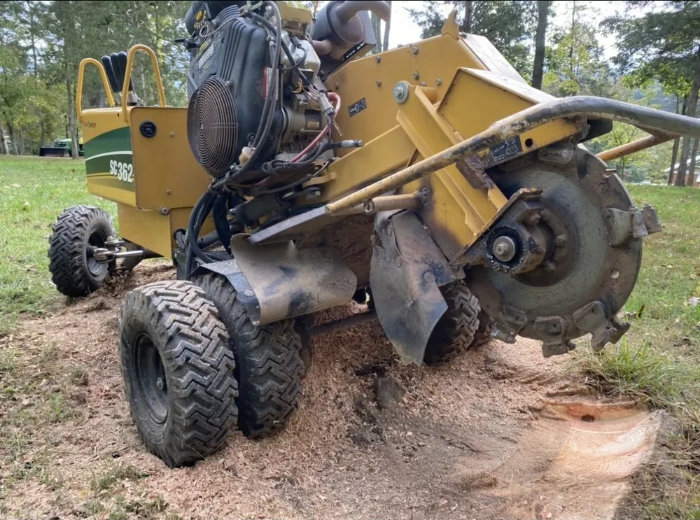 Reliable lawn care service for outdoor upgrades across Front Royal, VA - Mnt View Services