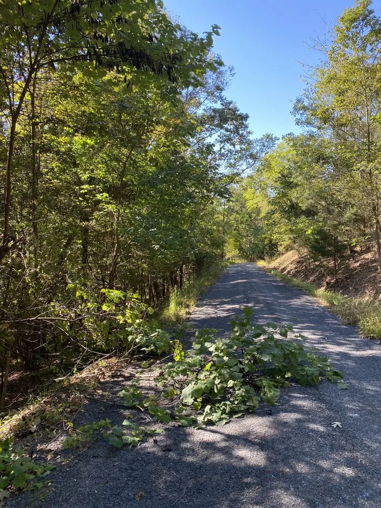 Top-rated lawn care service for homes across Front Royal, VA - Mnt View Services