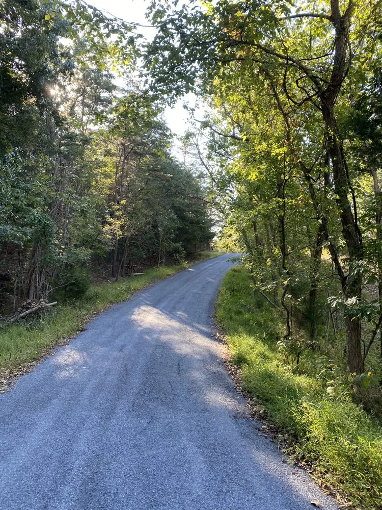 Affordable landscape design experts serving Front Royal, VA - Mnt View Services