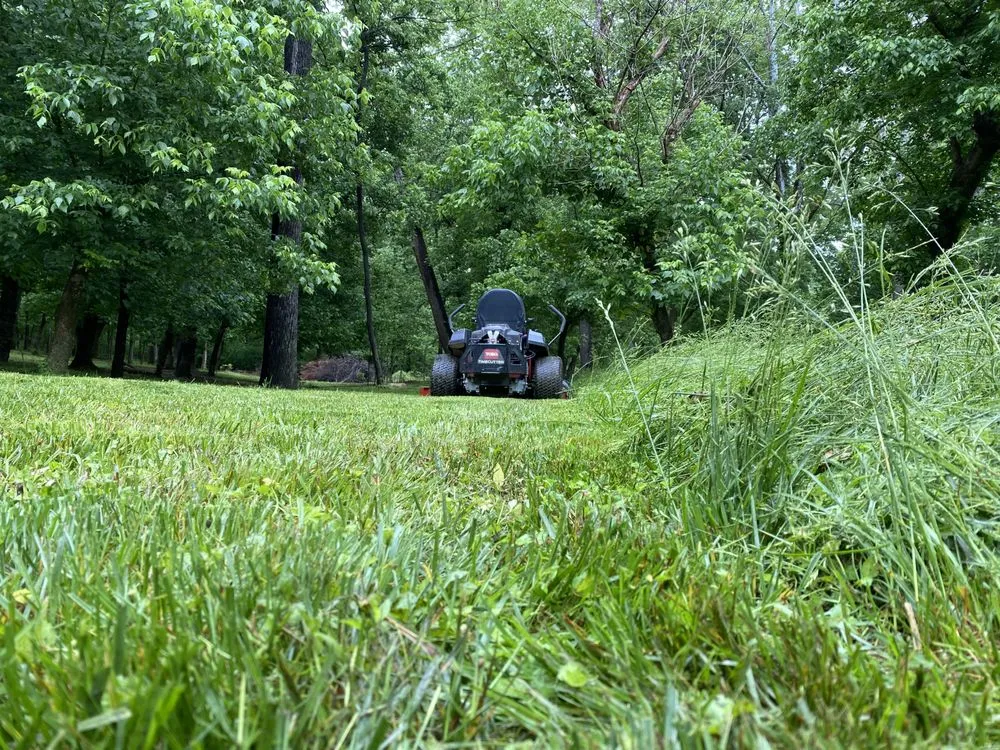 Professional yard cleanup service in Front Royal, VA - Mnt View Services