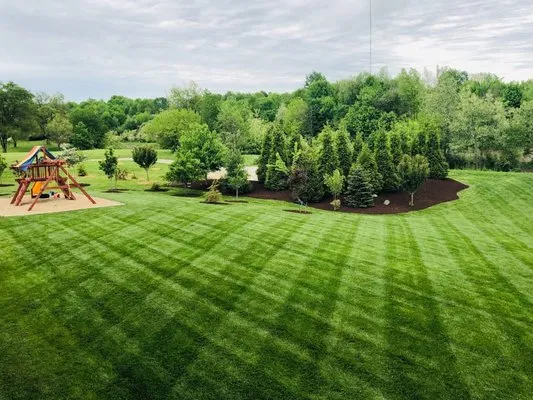 Mo & Grow with Papaw and Grandson Logo