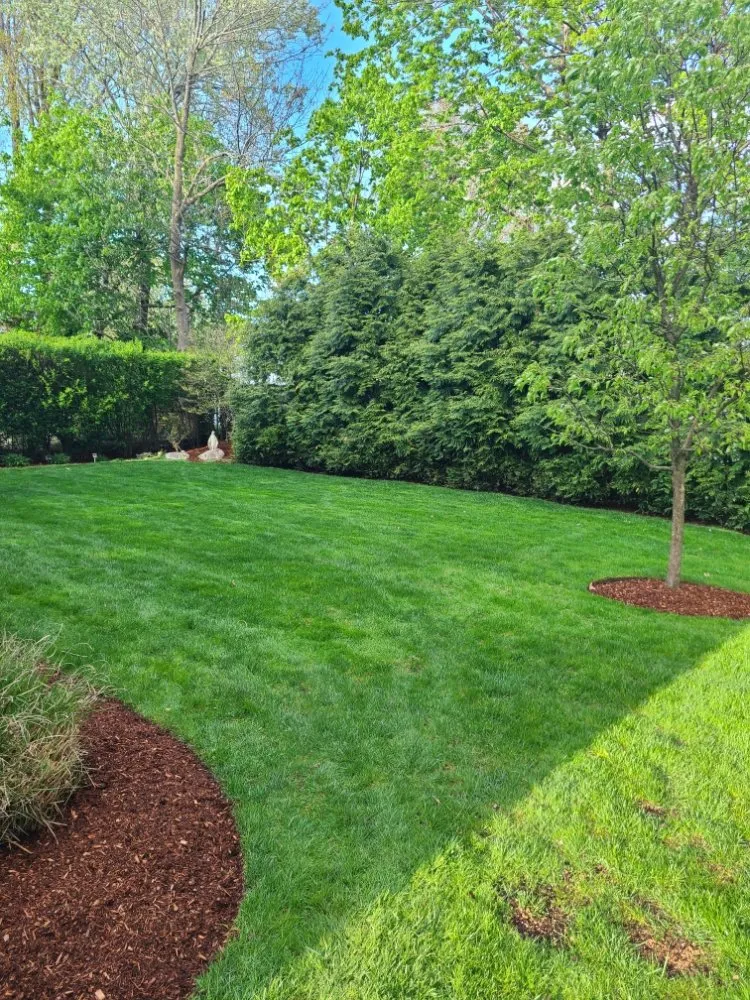Top-rated residential landscaping in Stamford, CT - MO & Son Tree & Lawn Care