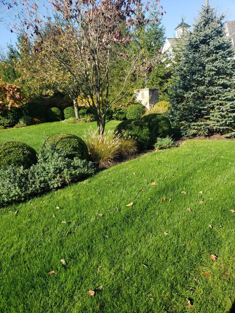 Affordable residential landscaping for homes in Stamford, CT by MO & Son Tree & Lawn Care