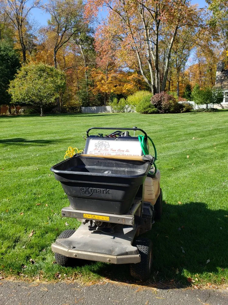 Affordable outdoor landscaping in Stamford, CT by MO & Son Tree & Lawn Care