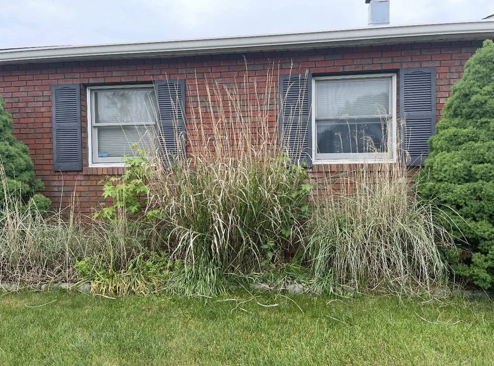 Trusted garden landscaping for year-round maintenance across Millersville, MD - Mo Better Lawns