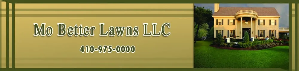 Affordable lawn mowing service in Millersville, MD - Mo Better Lawns