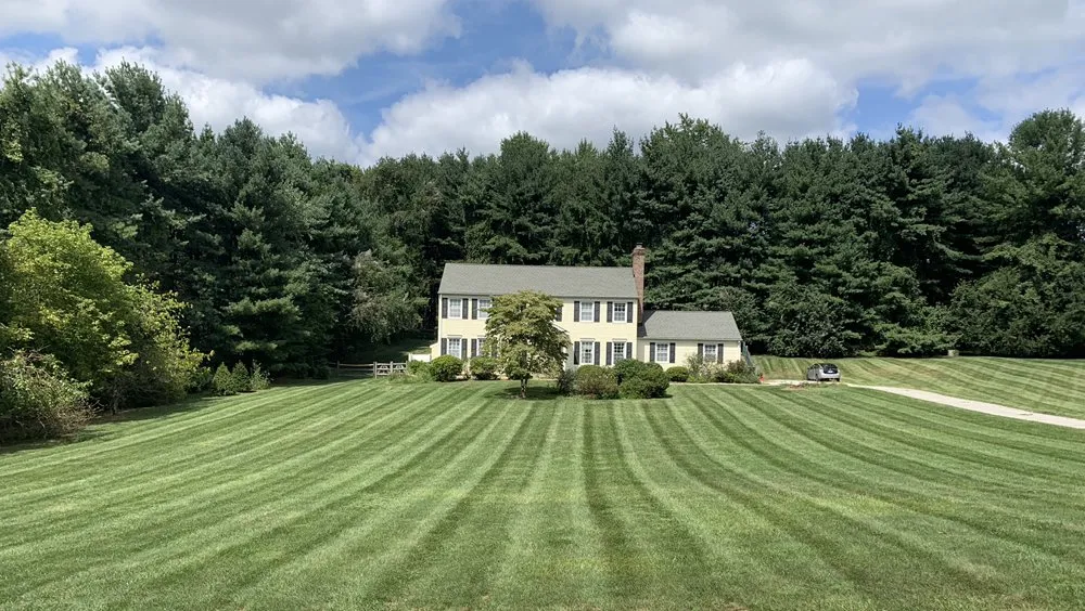 Expert garden landscaping for outdoor upgrades across Elkridge, MD - MO Better Services