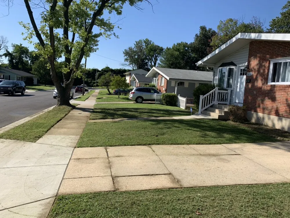 Trusted landscape design for year-round maintenance in Elkridge, MD by MO Better Services