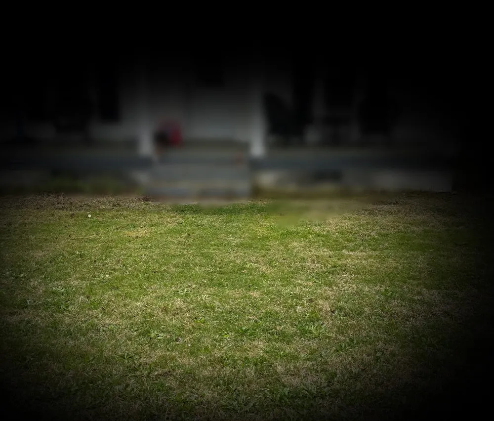 Reliable garden landscaping for outdoor upgrades across Wilson, NC - Mo Blessings