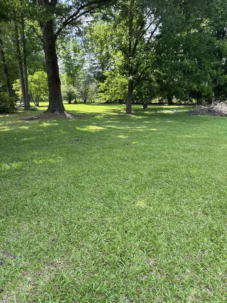 Reliable residential landscaping in Wilson, NC - Mo Blessings