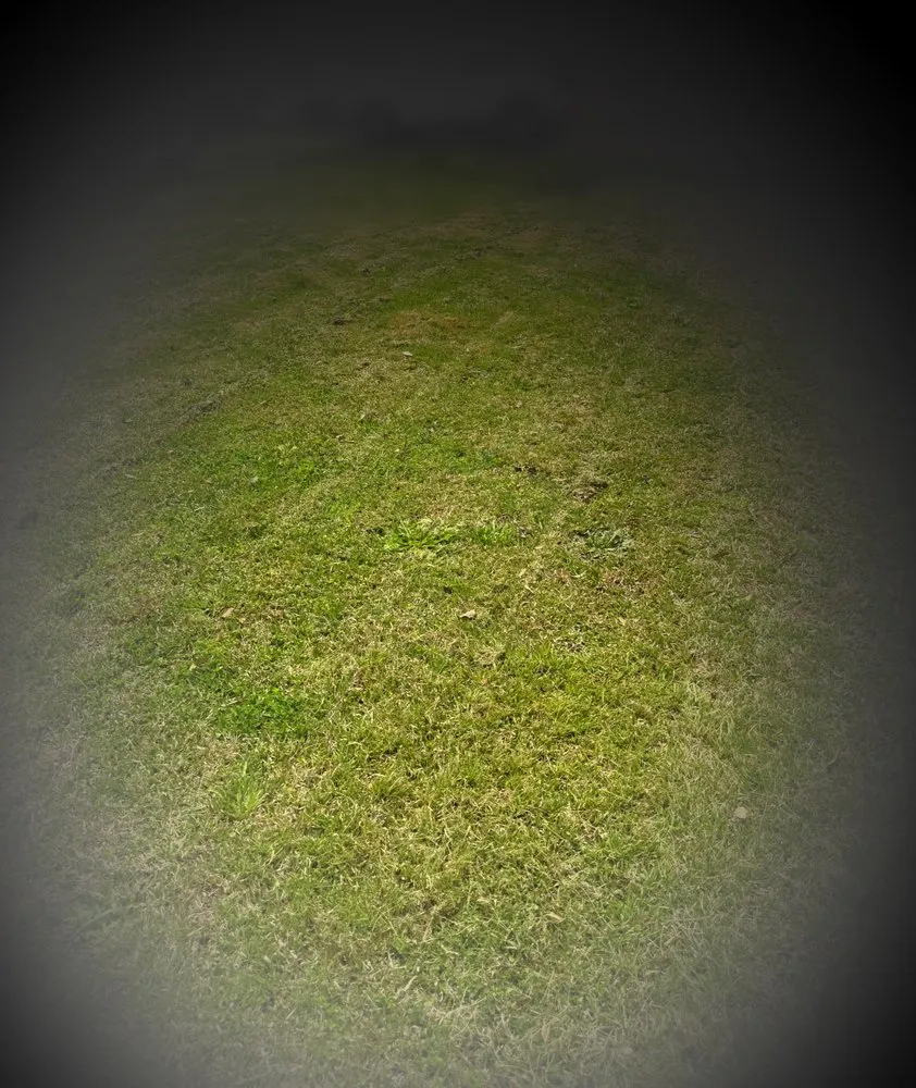 Professional yard maintenance in Wilson, NC by Mo Blessings