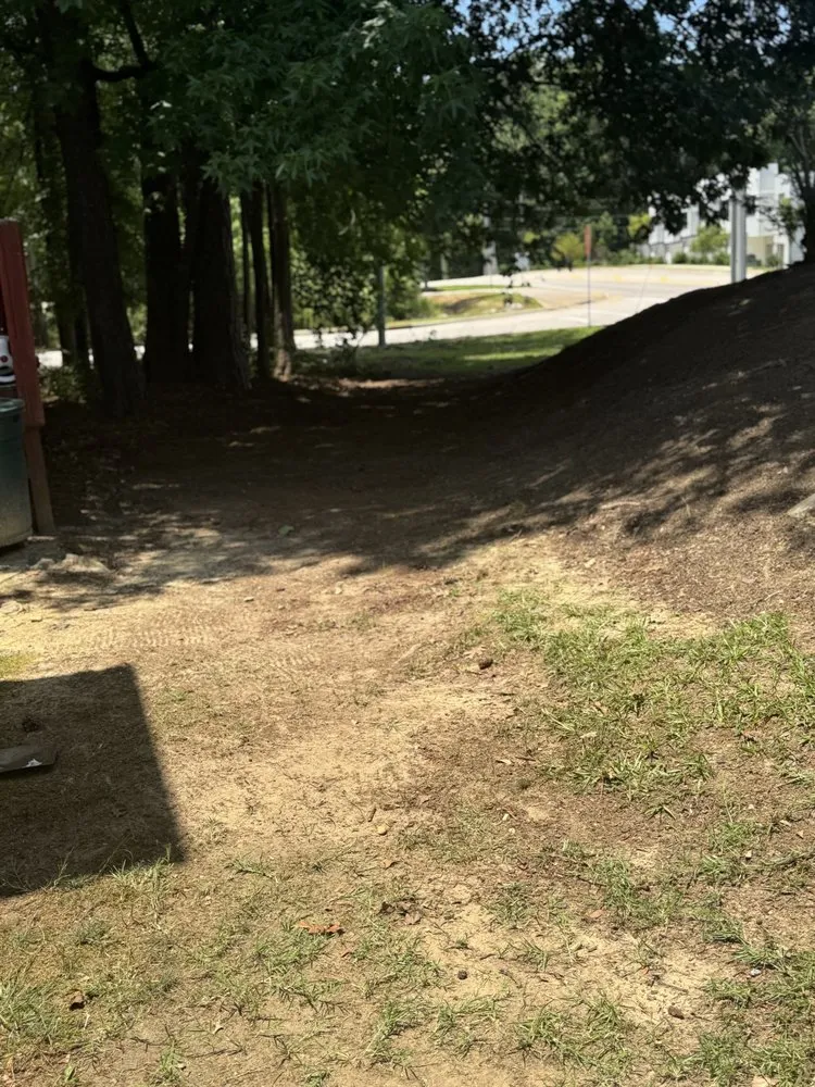 Expert landscape design for residential properties in Wilson, NC by Mo Blessings