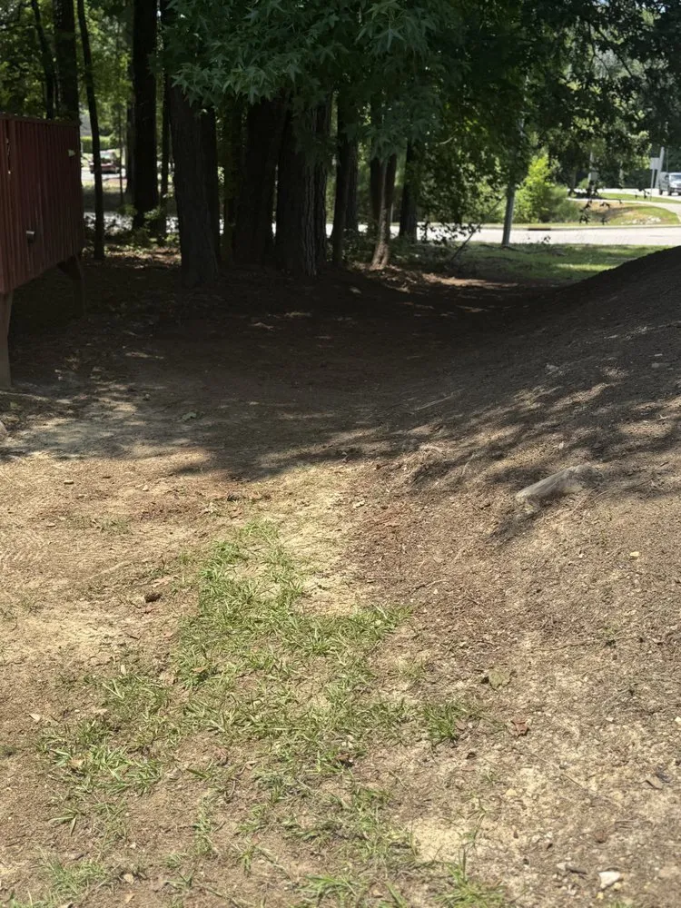 Professional lawn care service for year-round maintenance in Wilson, NC by Mo Blessings