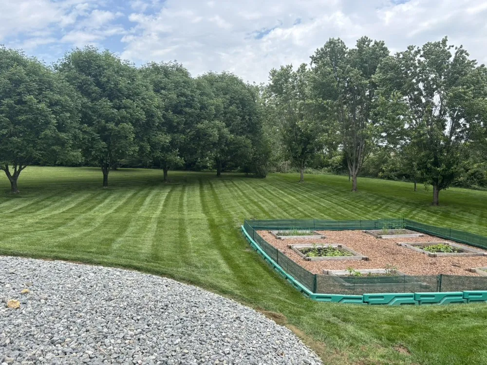 Expert yard cleanup service experts serving Platte City, MO - MO Boys Lawncare