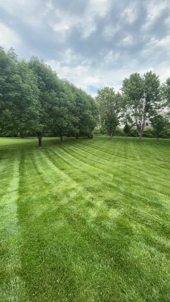 Affordable landscape design in Platte City, MO by MO Boys Lawncare