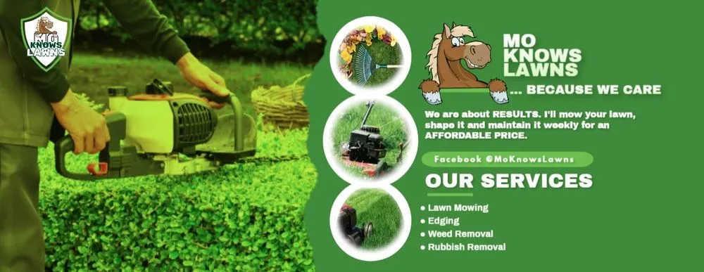 Expert yard cleanup service experts serving Grayson, GA - Mo Knows Lawns