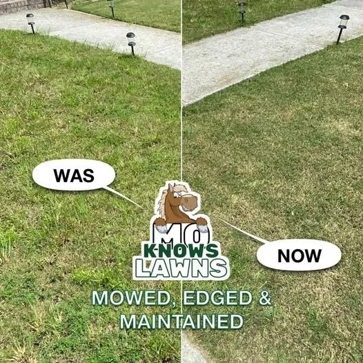 Custom residential landscaping in Grayson, GA by Mo Knows Lawns