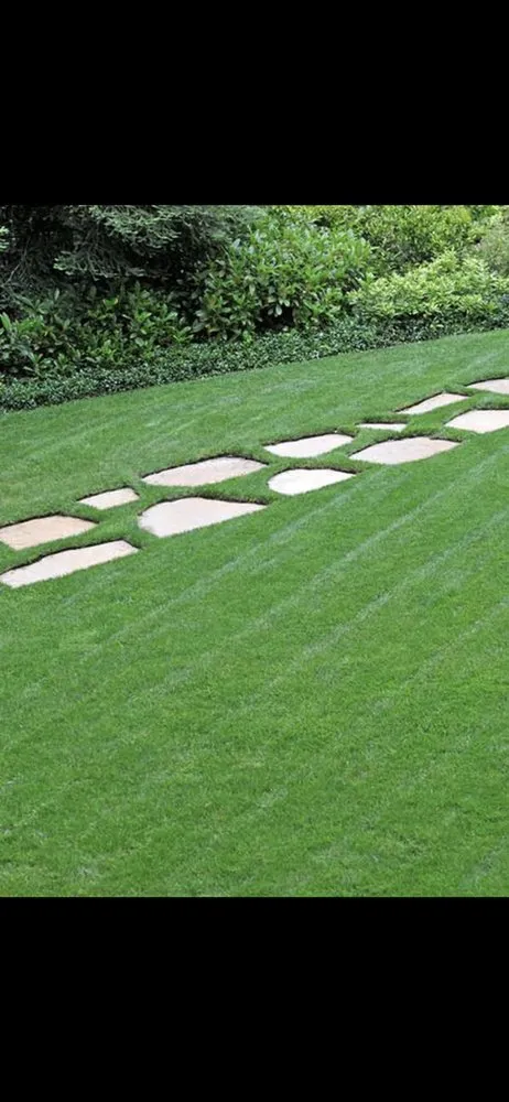 Expert lawn care service in Kansas City, MO - Mo Kutz Lawn & Snow Removal