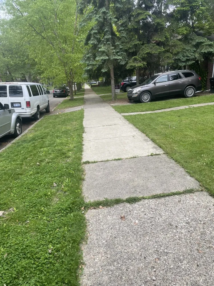 Affordable yard cleanup service in Detroit, MI by M&O Landscaping