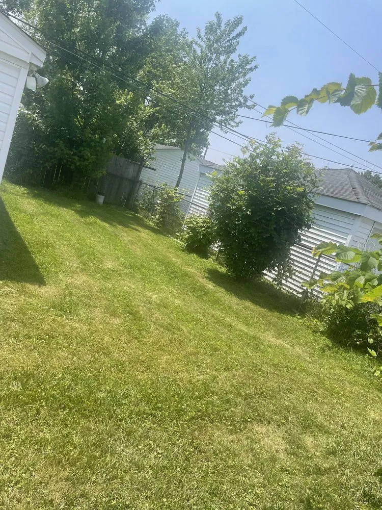 Reliable landscaping services with custom design across Detroit, MI - M&O Landscaping