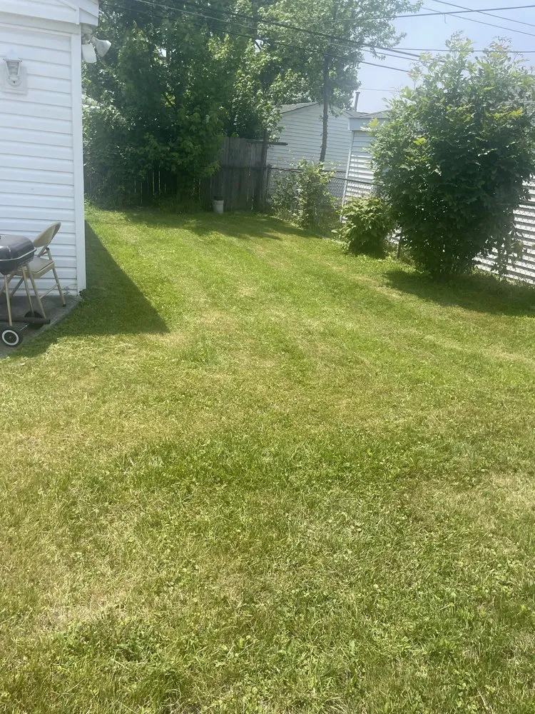 Top-rated lawn mowing service for beautiful yards in Detroit, MI by M&O Landscaping