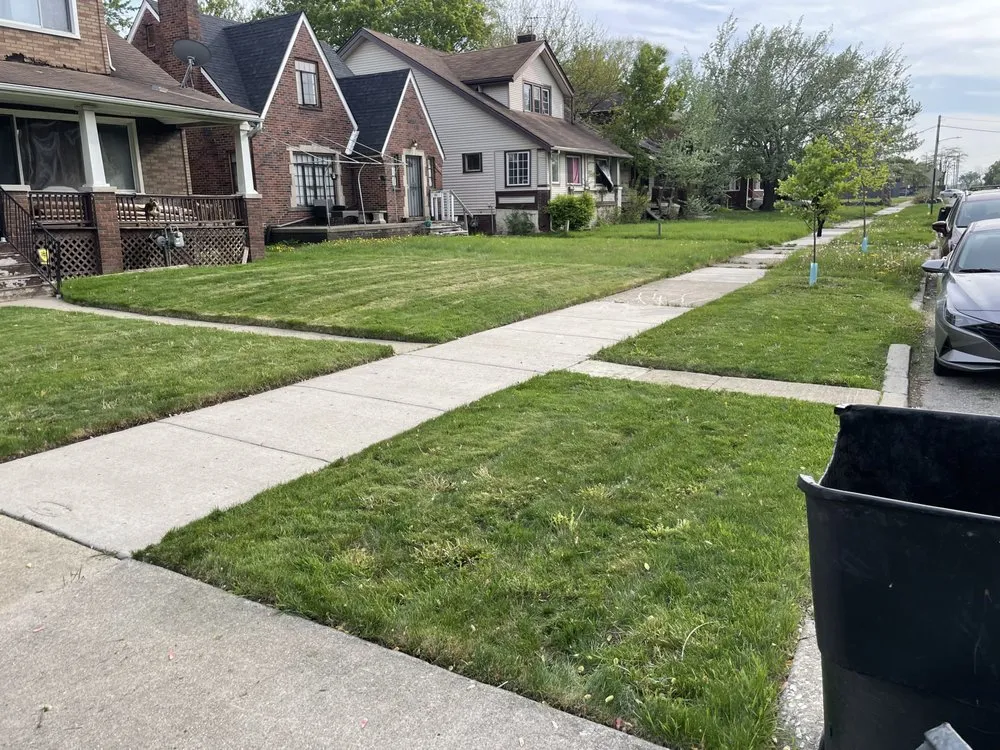 Local landscape design in Detroit, MI by M&O Landscaping