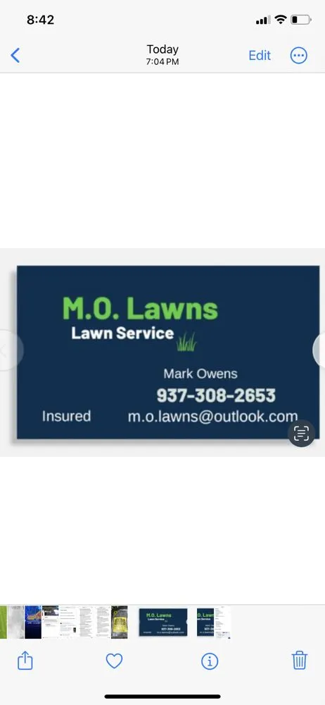 Professional yard cleanup service in Dayton, OH by M.O. Lawns