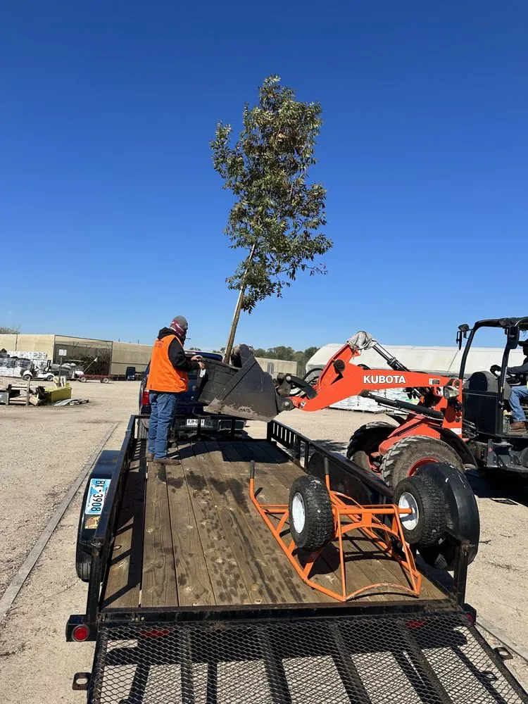 Custom yard cleanup service in Oak Point, TX - Mo-N-Grow Lawn Care Service