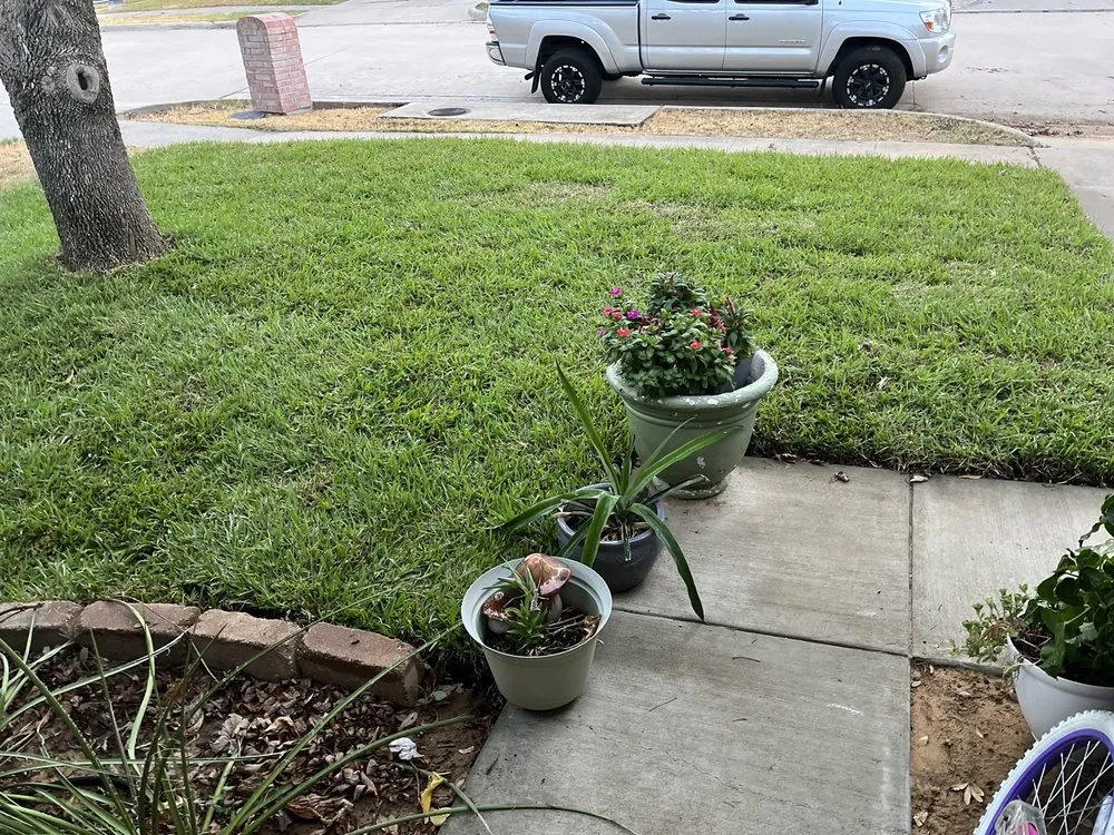 Custom landscaping services in Oak Point, TX - Mo-N-Grow Lawn Care Service