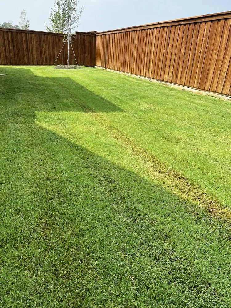 Professional yard cleanup service near you in Oak Point, TX by Mo-N-Grow Lawn Care Service