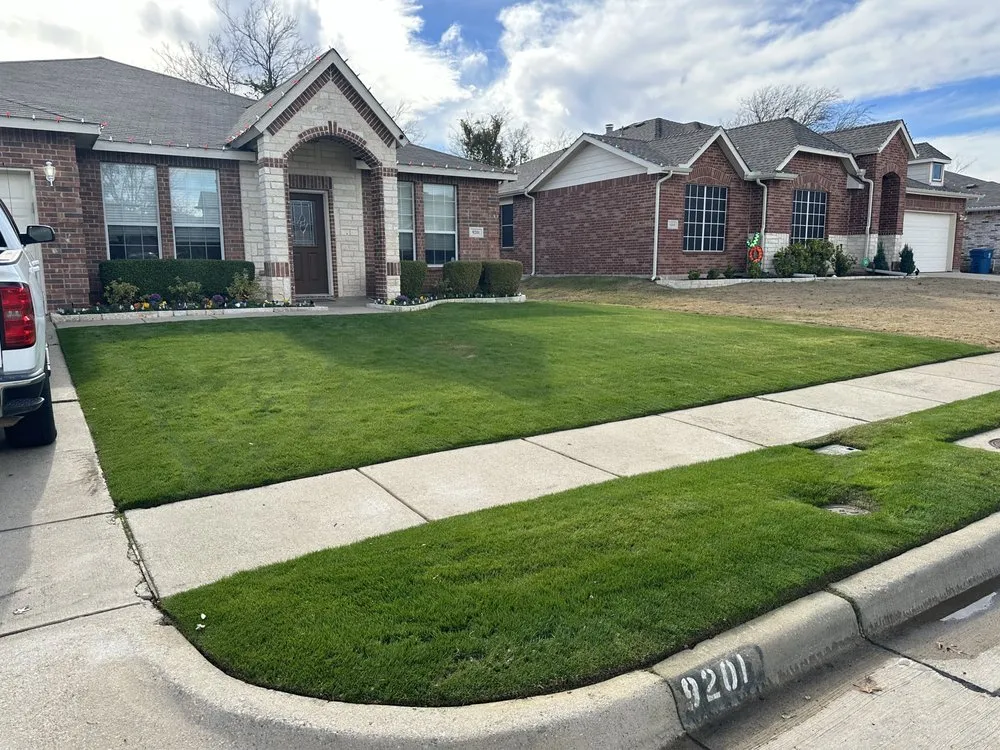 Professional landscape installation in Oak Point, TX by Mo-N-Grow Lawn Care Service