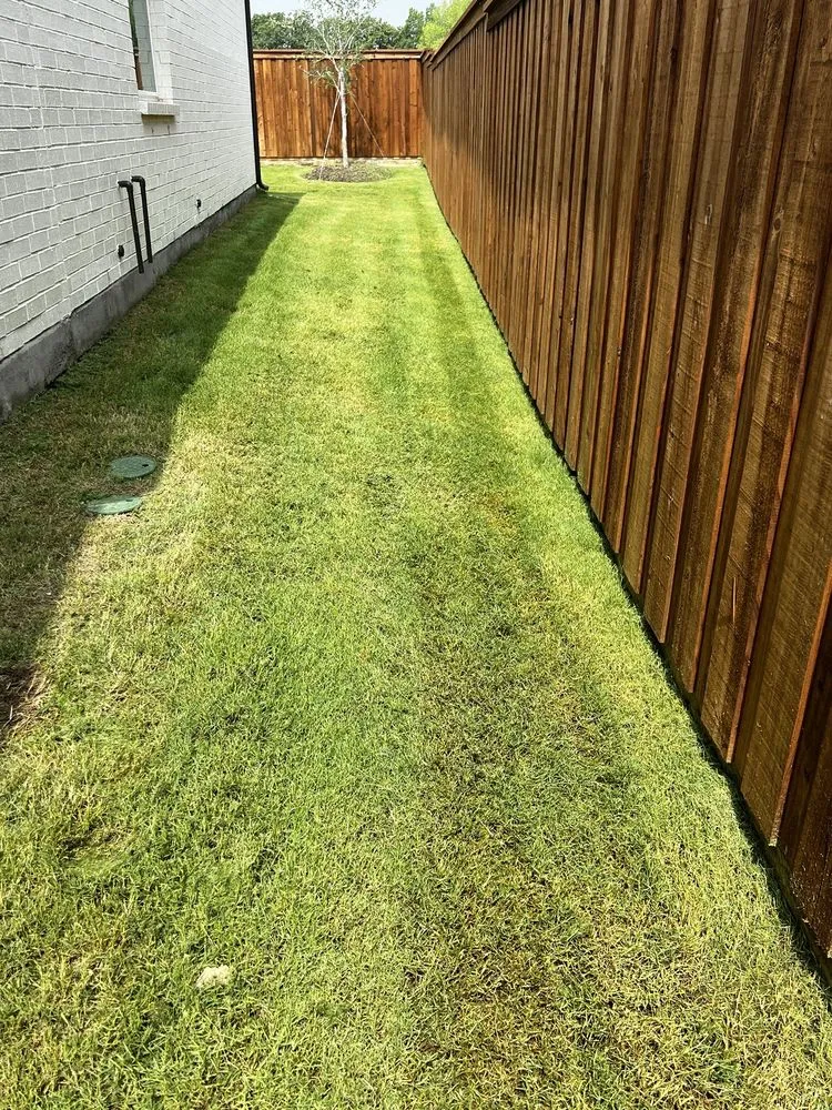 Expert yard maintenance with custom design across Oak Point, TX - Mo-N-Grow Lawn Care Service