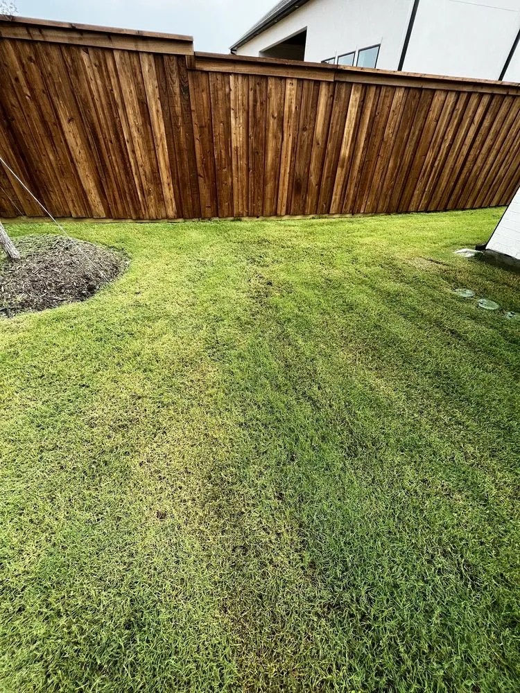 Expert yard maintenance for residential properties across Oak Point, TX - Mo-N-Grow Lawn Care Service