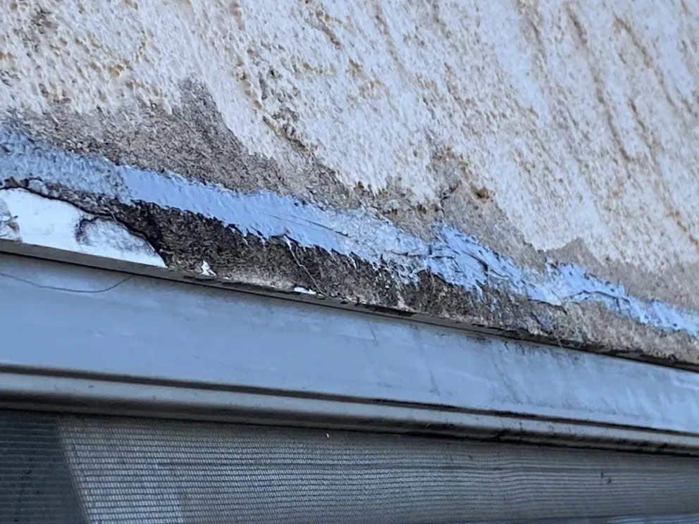 Reliable landscape installation experts serving San Francisco, CA - Mo Power Tools