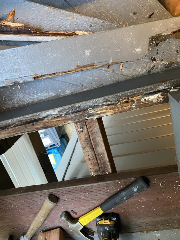 Professional residential landscaping in San Francisco, CA - Mo Power Tools