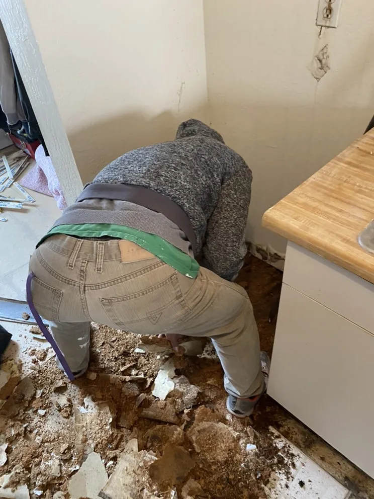 Reliable outdoor landscaping with custom design across San Francisco, CA - Mo Power Tools