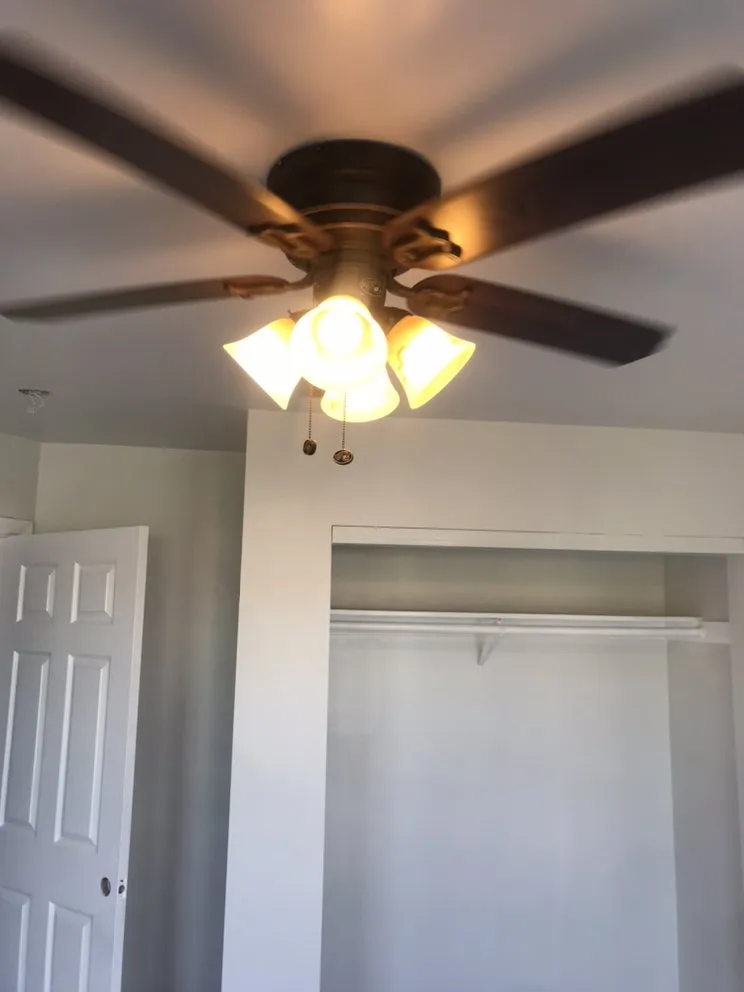 Expert landscaping services in San Francisco, CA - Mo Power Tools