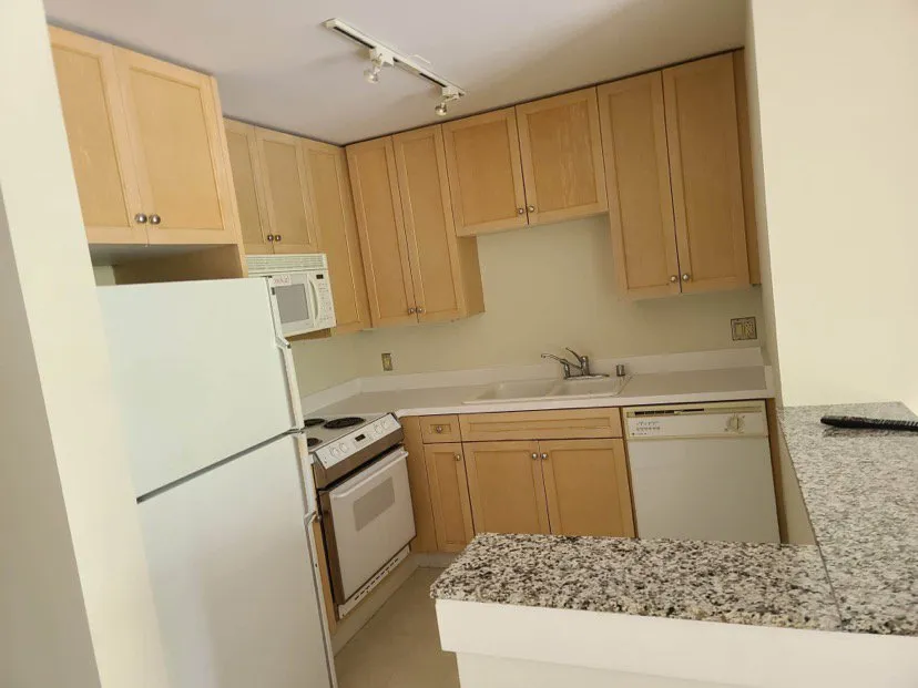 Trusted yard maintenance in San Francisco, CA by Mo Power Tools