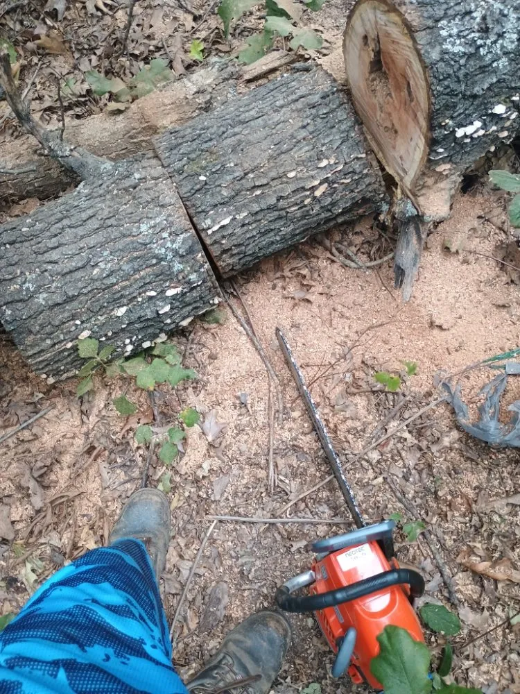 Affordable yard maintenance in Ironton, MO by MO Property Solutions