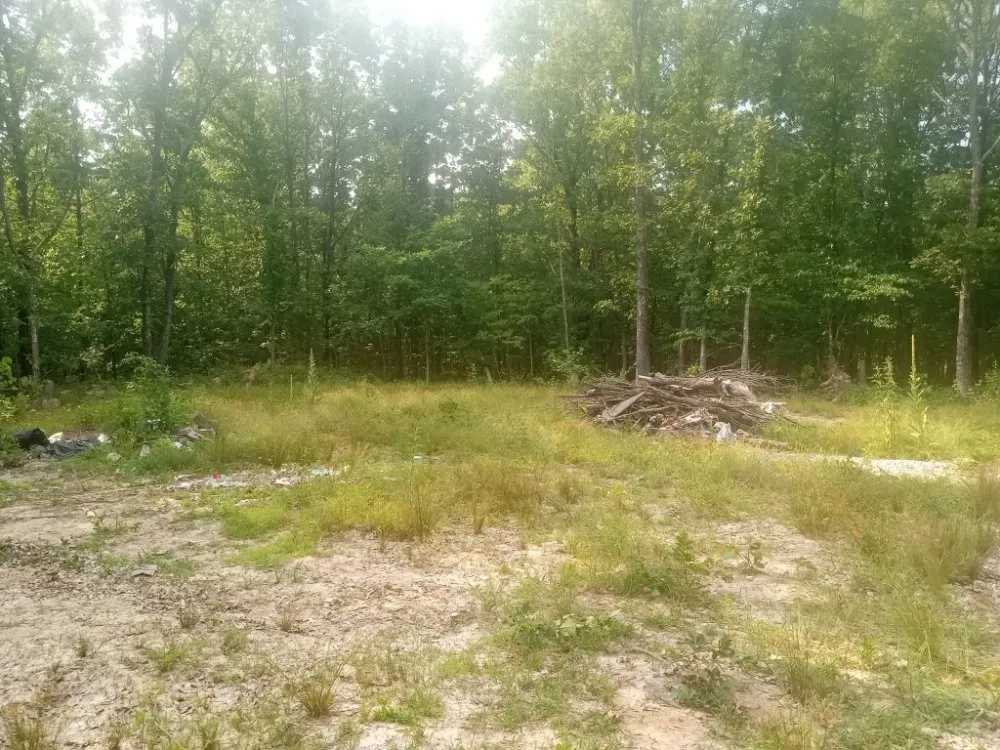 Reliable landscape design for residential properties in Ironton, MO by MO Property Solutions