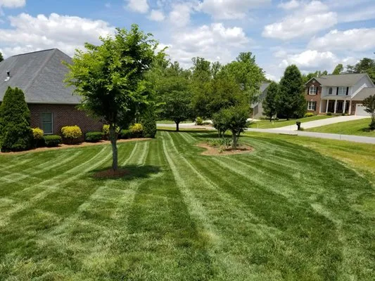 Mo Rite Lawn Services Logo