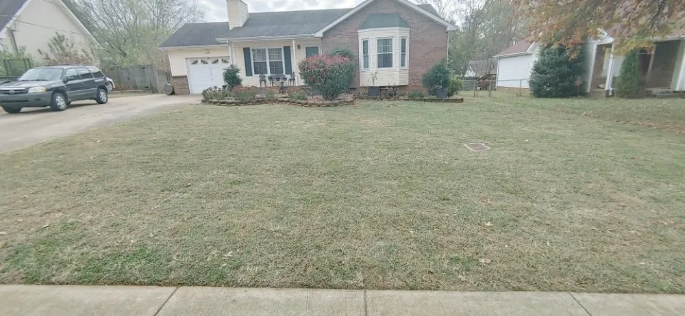 Reliable yard cleanup service for year-round maintenance in Clarksville, TN by Mo Yea's Lawn Care Service