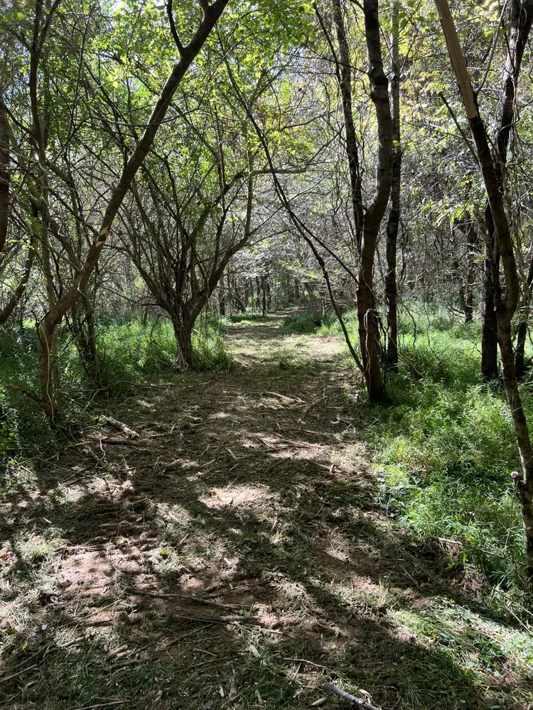 Local landscape installation in Winchester, TN - MOAB Mulching Services