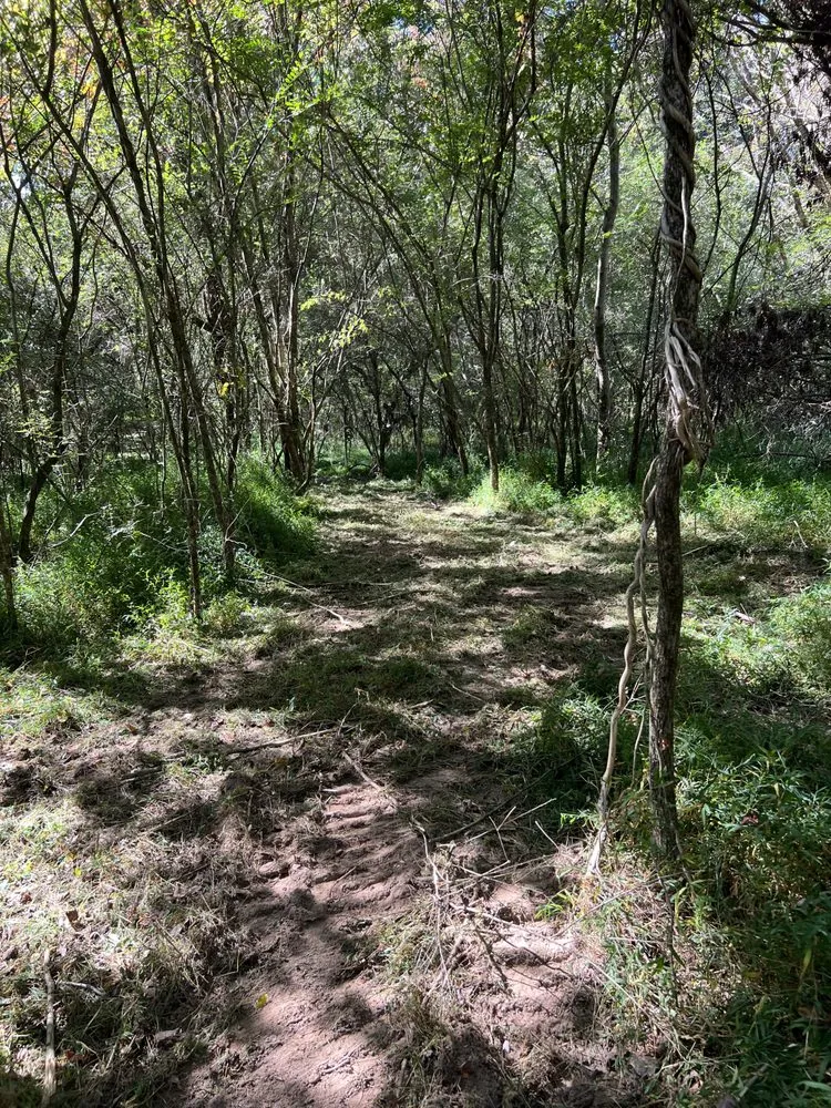 Professional garden landscaping experts serving Winchester, TN - MOAB Mulching Services