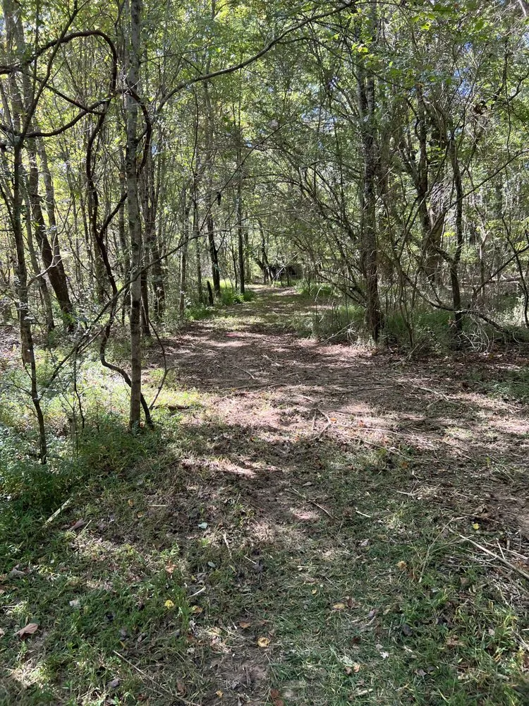 Trusted lawn care service for beautiful yards across Winchester, TN - MOAB Mulching Services