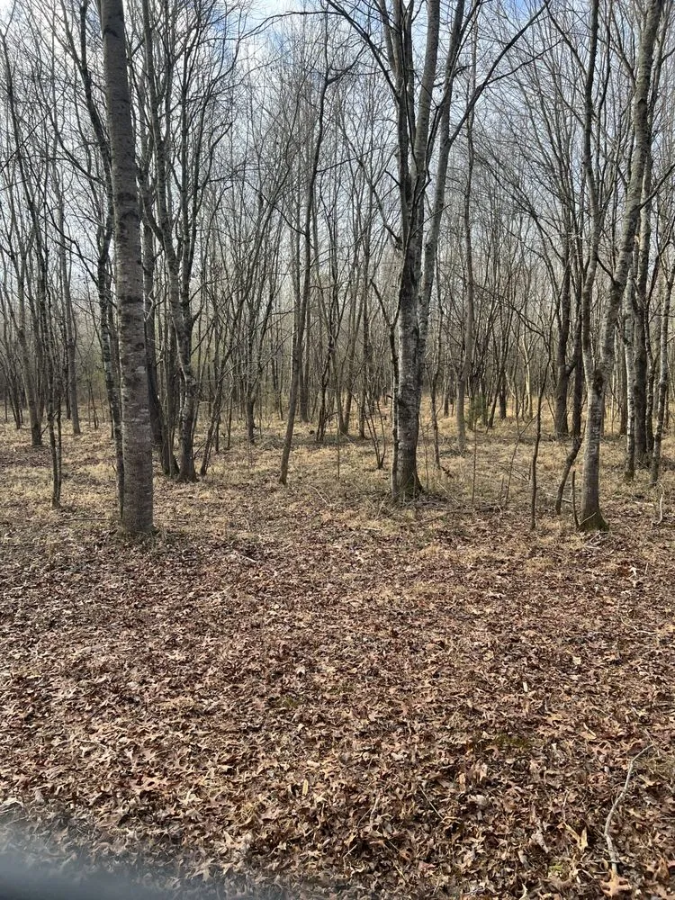 Local landscape installation for year-round maintenance in Winchester, TN by MOAB Mulching Services