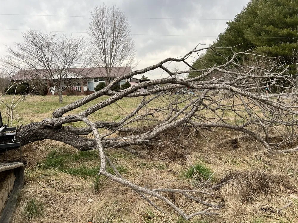 Affordable lawn mowing service in Winchester, TN by MOAB Mulching Services